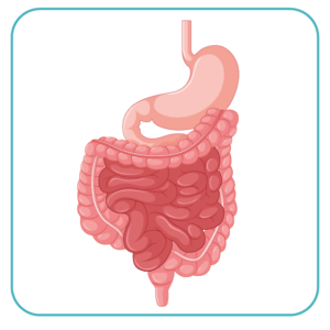 Intensive Care Unit (ICU)
