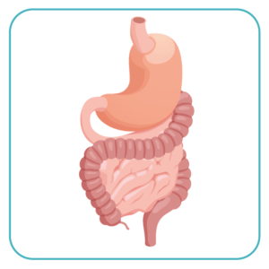 Intensive Care Unit (ICU)