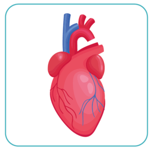 Intensive Care Unit (ICU)